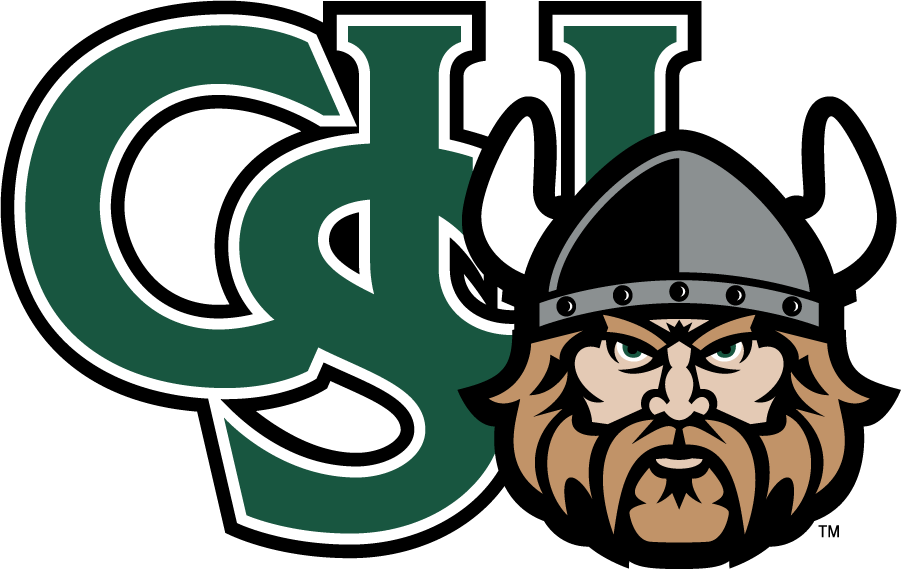 Cleveland State Vikings 2007-Pres Secondary Logo v3 diy iron on heat transfer